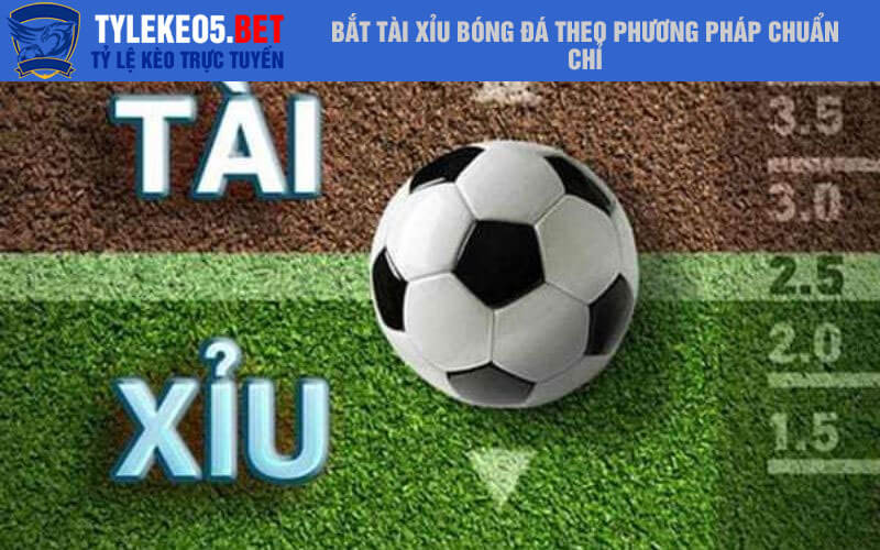 Bắt tài xỉu bóng đá theo phương pháp chuẩn chỉ