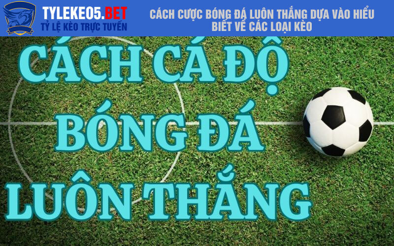 Cách cược bóng đá luôn thắng dựa vào hiểu biết về các loại kèo