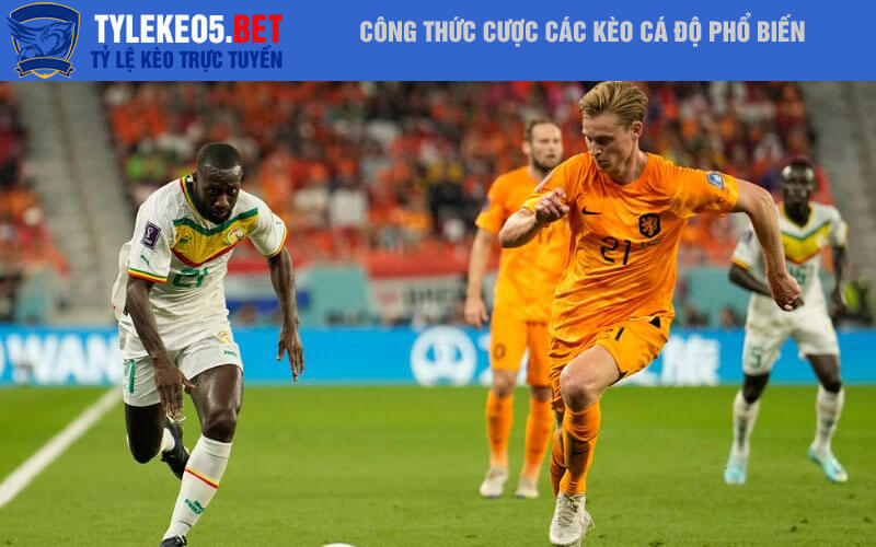 Công thức cược các kèo cá độ phổ biến