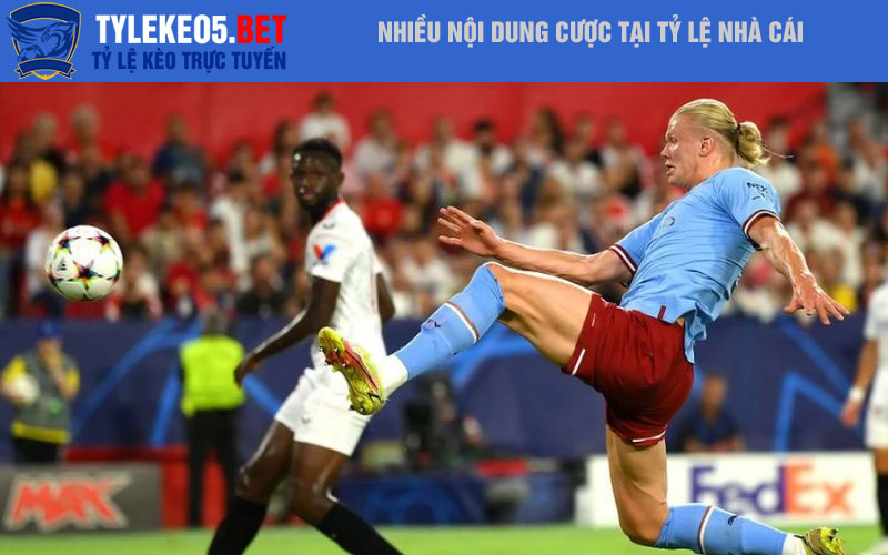 Nhiều nội dung cược tại tỷ lệ nhà cái