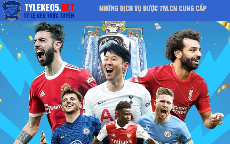 Những dịch vụ được 7M.CN cung cấp