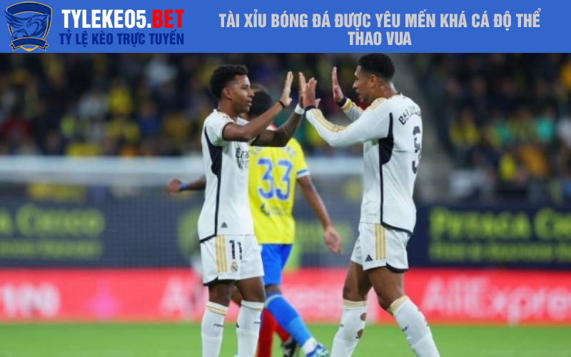 Tài xỉu bóng đá được yêu mến khá cá độ thể thao vua