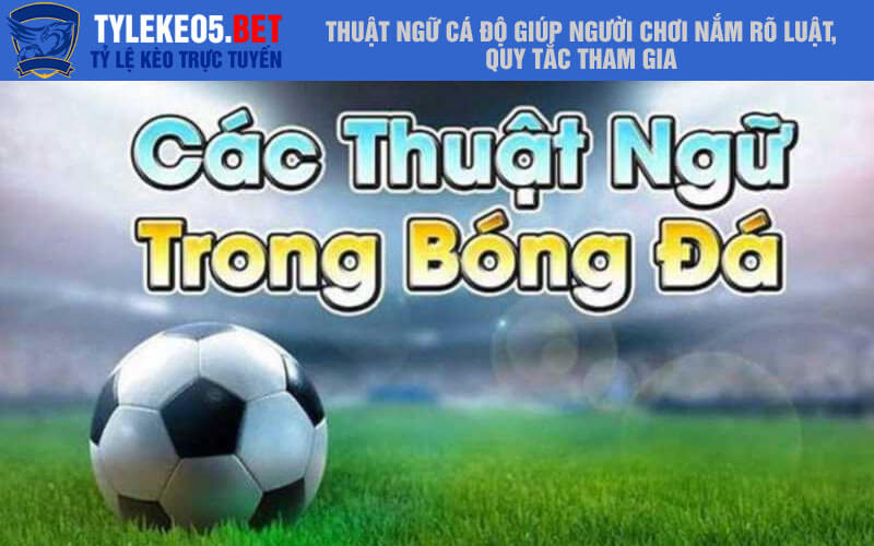 Thuật ngữ cá độ giúp người chơi nắm rõ luật, quy tắc tham gia