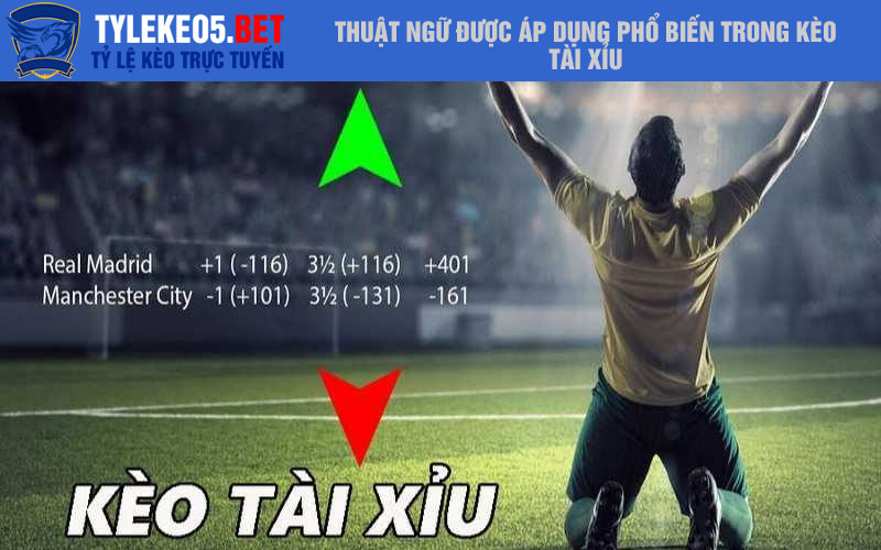 Thuật ngữ được áp dụng phổ biến trong kèo Tài Xỉu