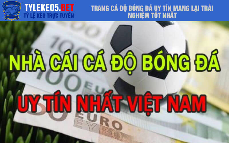 Trang cá độ bóng đá uy tín mang lại trải nghiệm tốt nhất