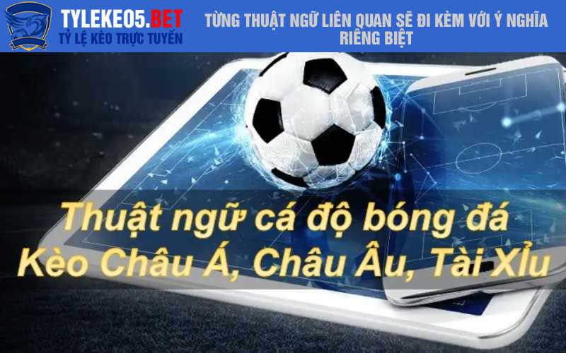 Từng thuật ngữ liên quan sẽ đi kèm với ý nghĩa riêng biệt