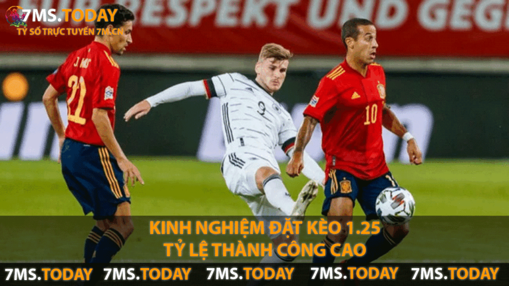 Kinh nghiệm đặt kèo 1.25 tỷ lệ thành công cao