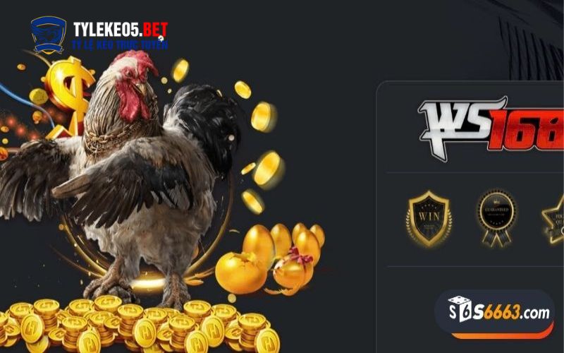 Đá gà S666 là gì?